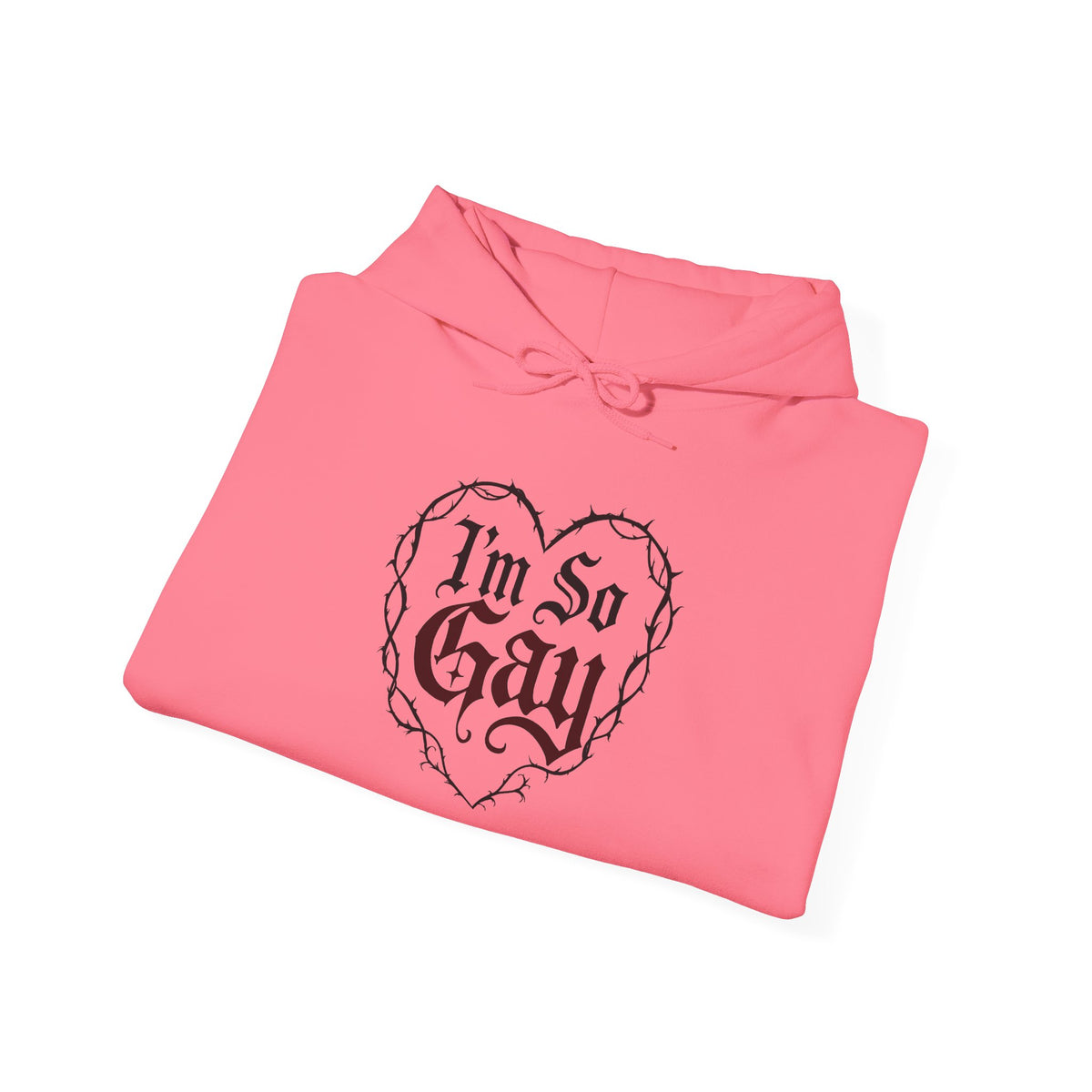 I'm so Gay/Pretty Eyes Hooded Sweatshirt